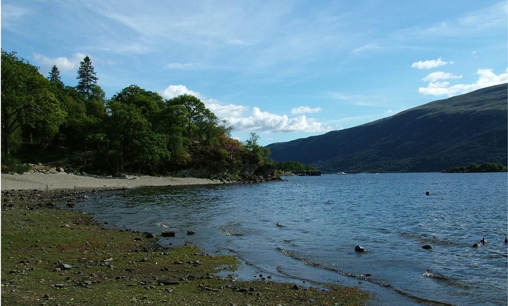 Loch Lomond Shoreline near Rowardennan, Scotland